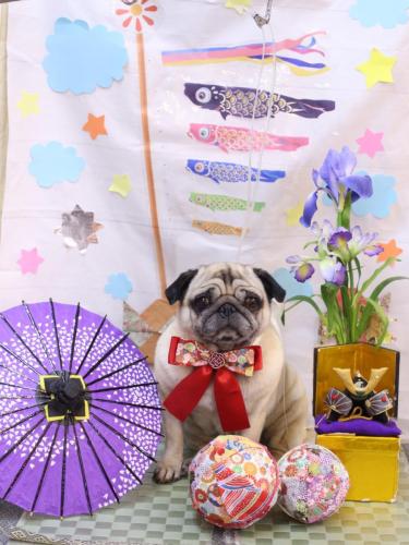 20240531くりこちゃん